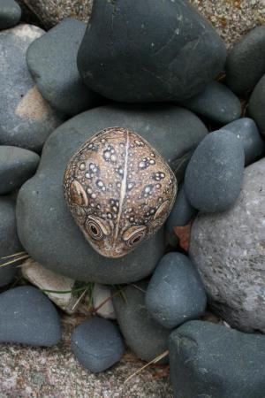 artwork by Marianne Vick